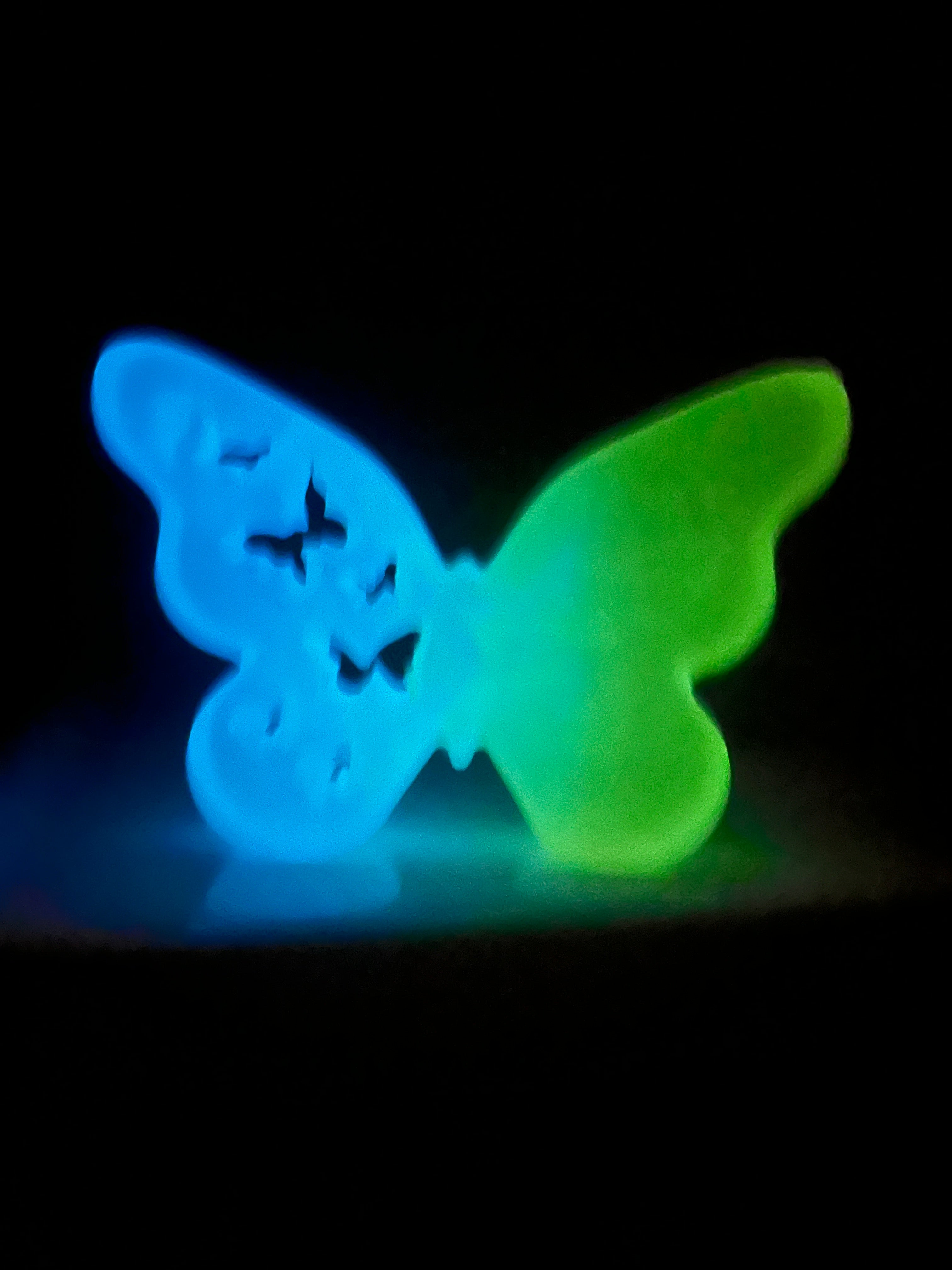 Resin Glow in the Dark Butterfly